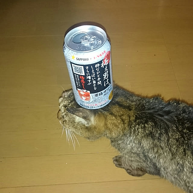 posauruさんの実例写真