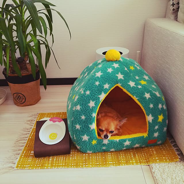 kojikojiさんの実例写真