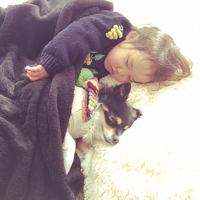 comoさんの実例写真