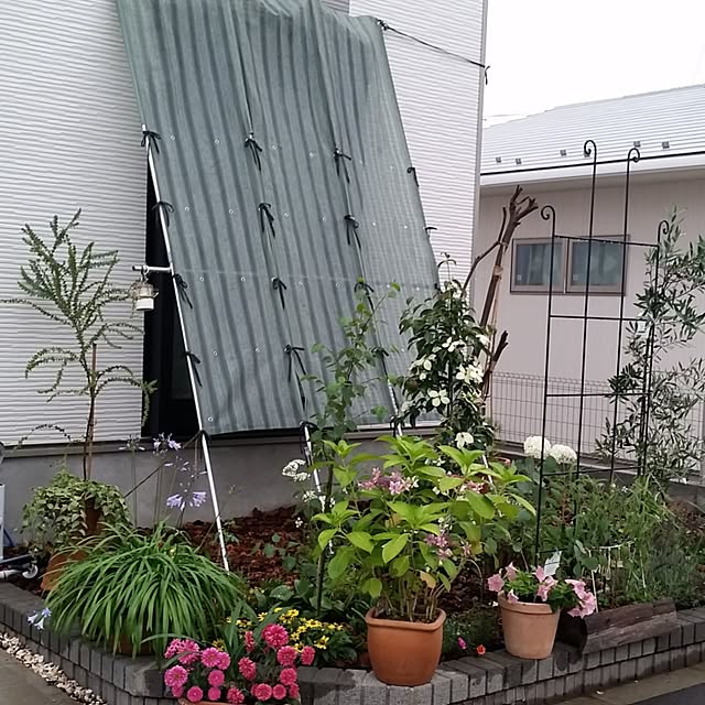 nia1213さんの実例写真
