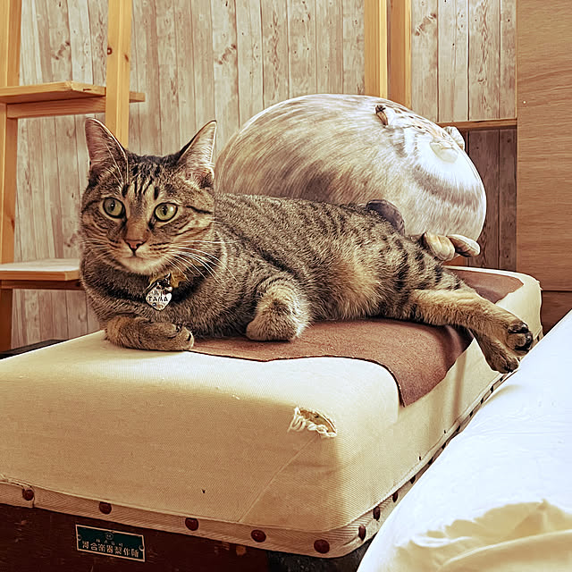 Mさんの実例写真