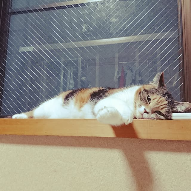 yukieさんの実例写真