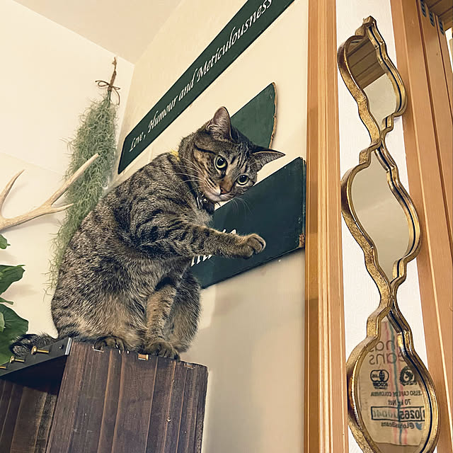 Mさんの実例写真