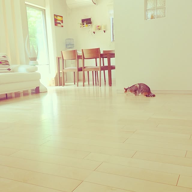 monさんの実例写真