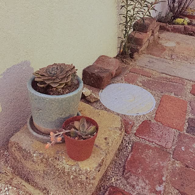 chisさんの実例写真