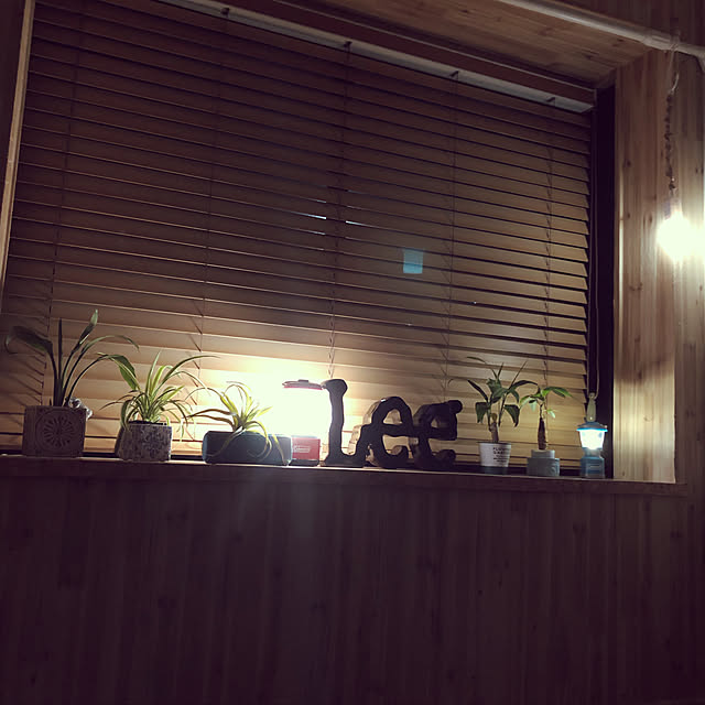 andaさんの実例写真