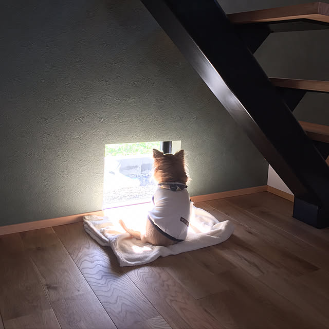 1123chiwaさんの実例写真
