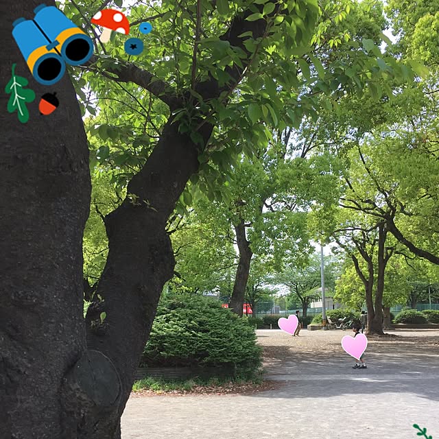 pikarunさんの実例写真