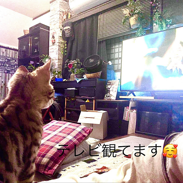 tututu0204さんの部屋