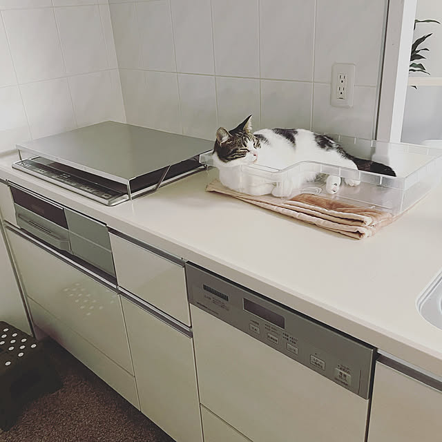 hemukoさんの実例写真
