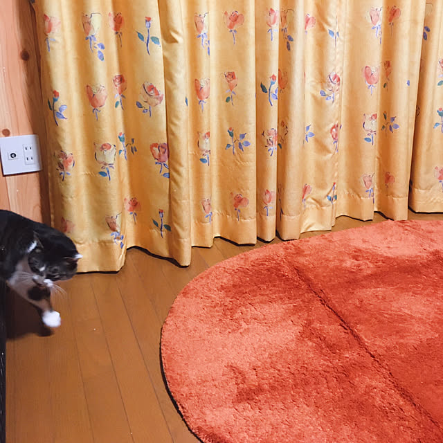 mame-minさんの実例写真