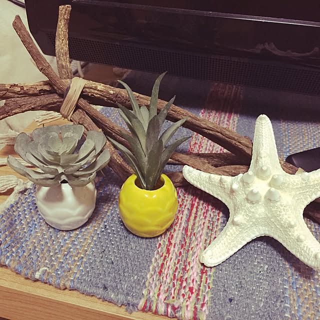 chicaさんの実例写真