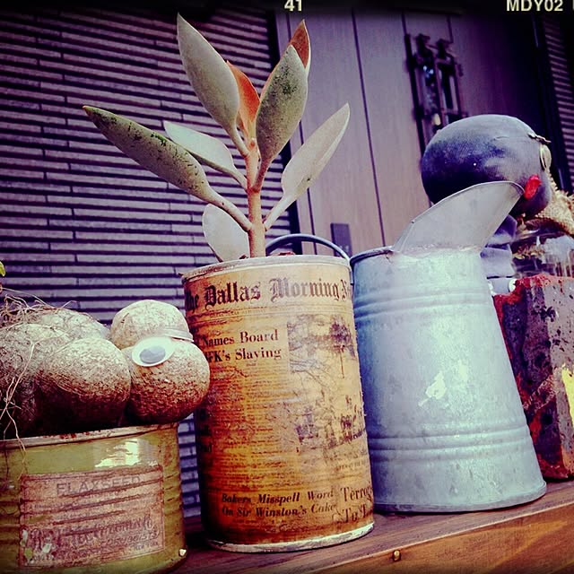Rans_andy.さんの実例写真