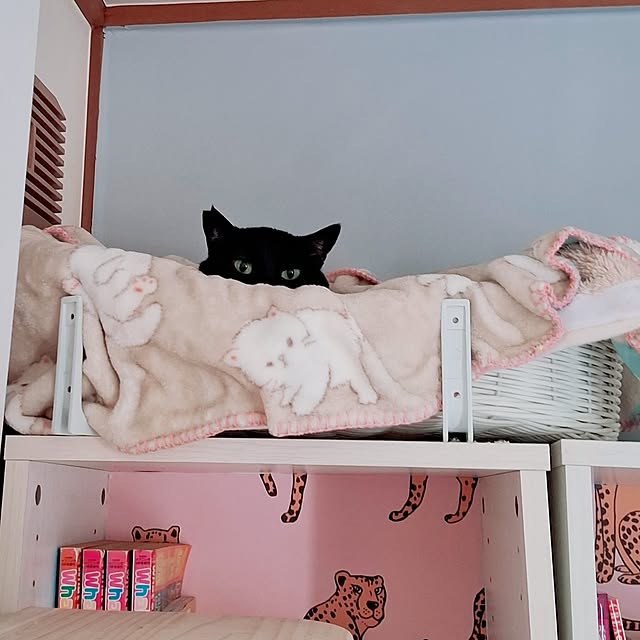 moko.7525himeさんの実例写真