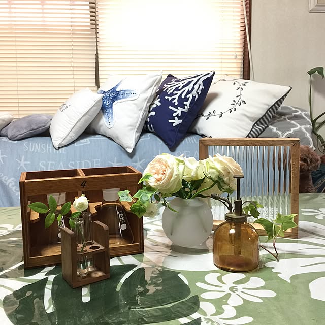 momonaさんの実例写真