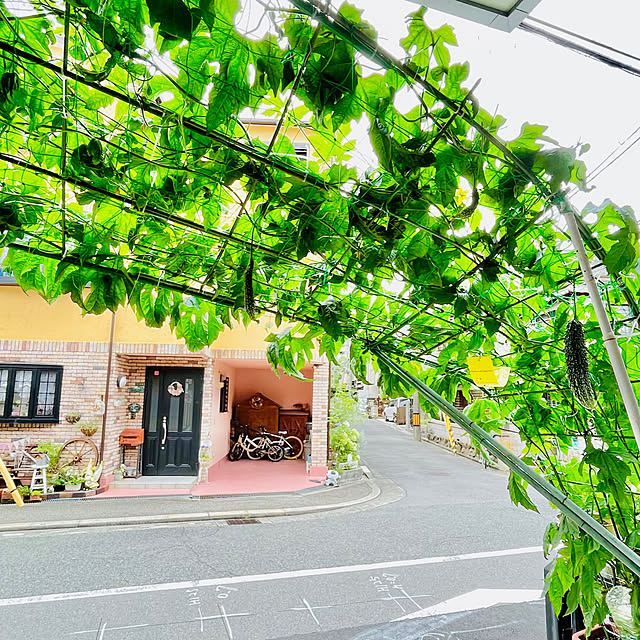 sakura_171220さんの実例写真