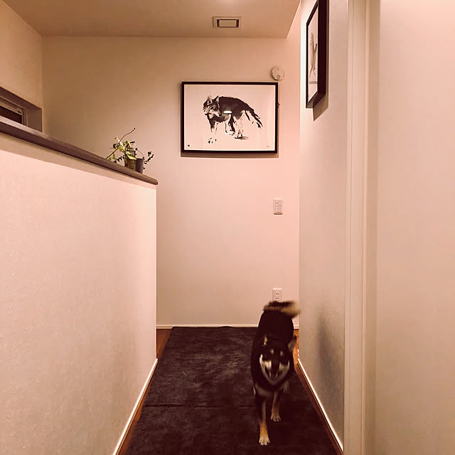 nuruiさんの実例写真