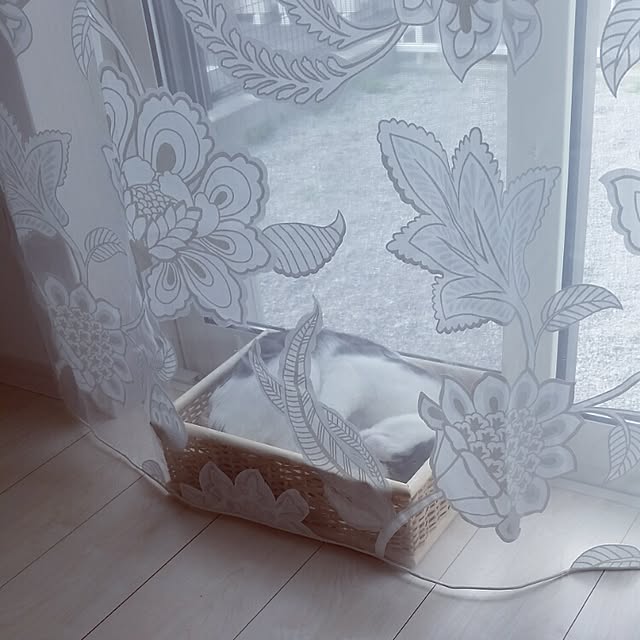 runayucoさんの実例写真
