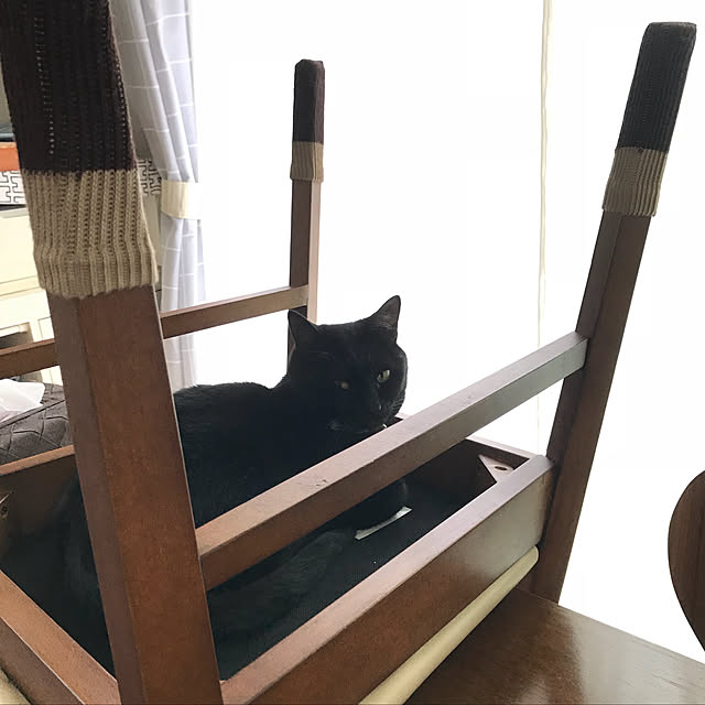 yuki0511さんの実例写真