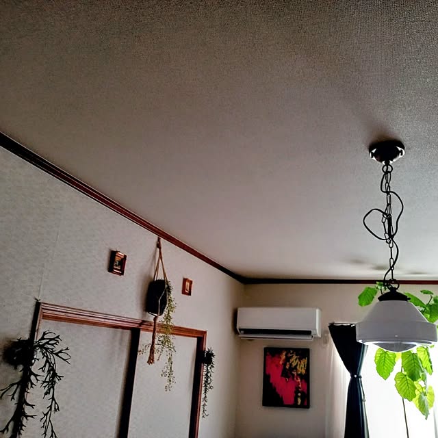 moruさんの実例写真