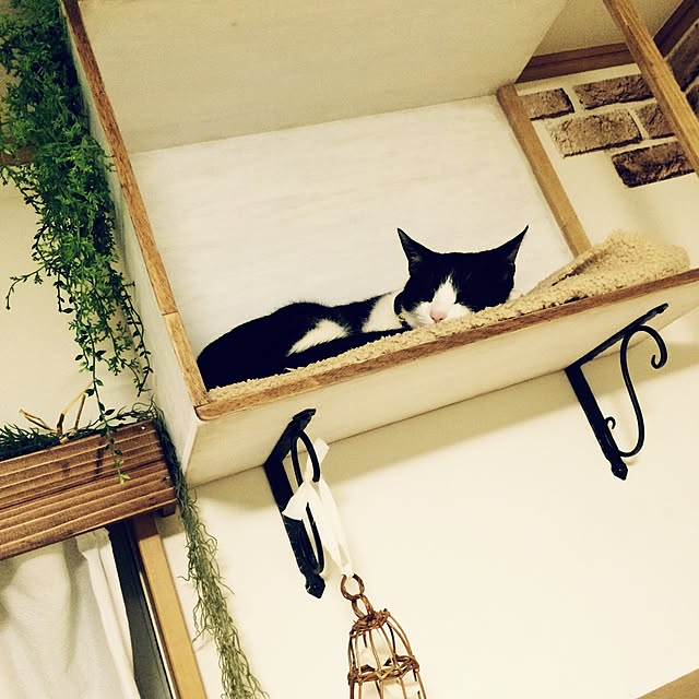 REINA612WORKSさんの実例写真