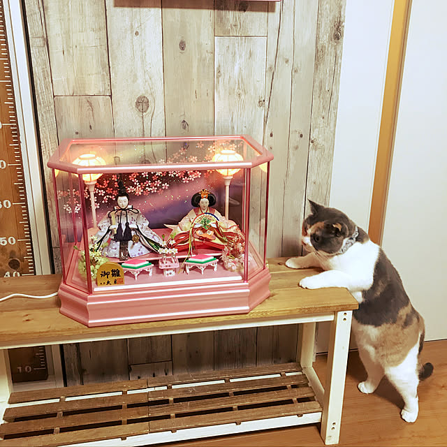 bambi_eyeさんの実例写真