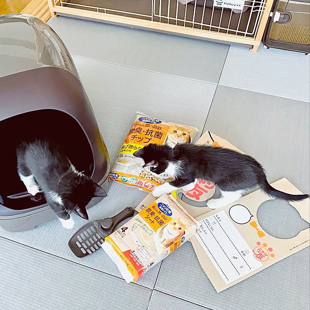 pippiy357さんの実例写真