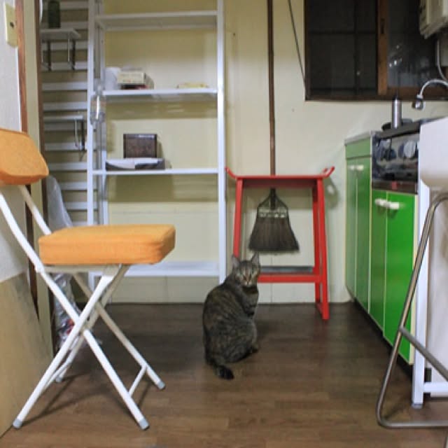 tacさんの実例写真