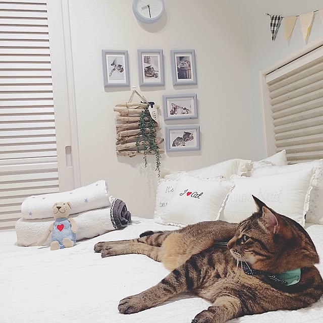 lovecatさんの実例写真