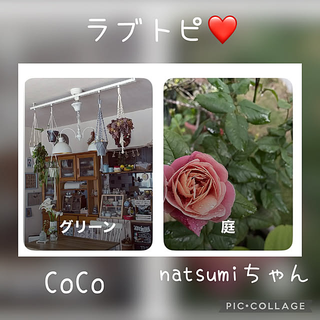 CoCo0617さんの実例写真
