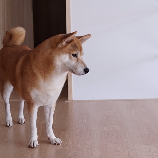 kshsnewさんの実例写真