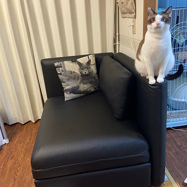 IKEAのソファーベッドのおすすめ商品とおしゃれな実例 IKEAのソファーベッドのおすすめ商品とおしゃれな実例
