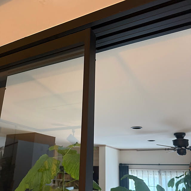 sachieyさんの部屋