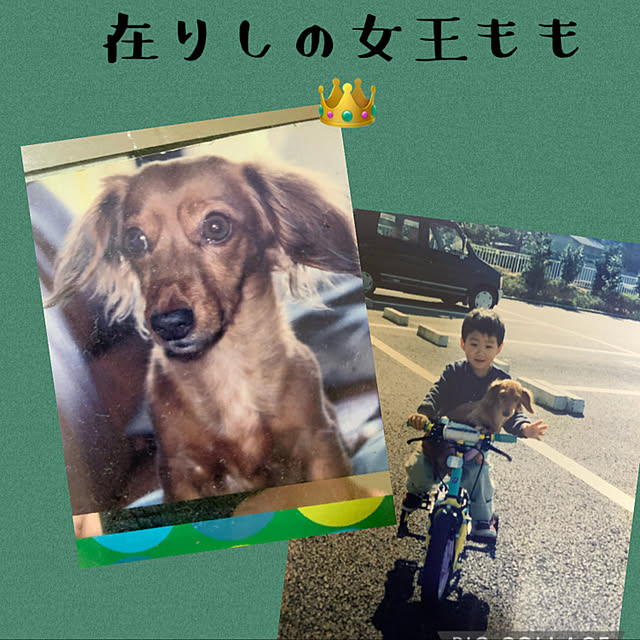 JUNさんの実例写真