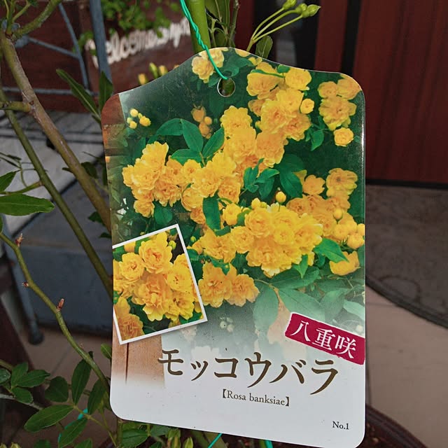 mocomocoさんの部屋