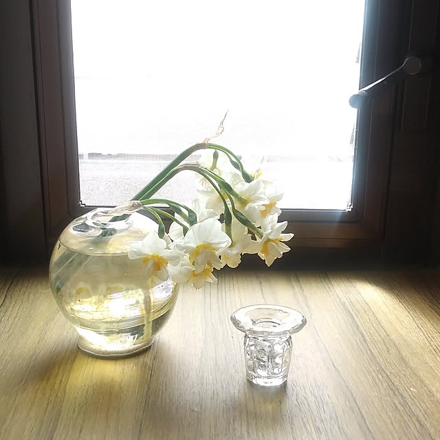 piさんの実例写真