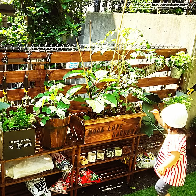 MorePPさんの実例写真