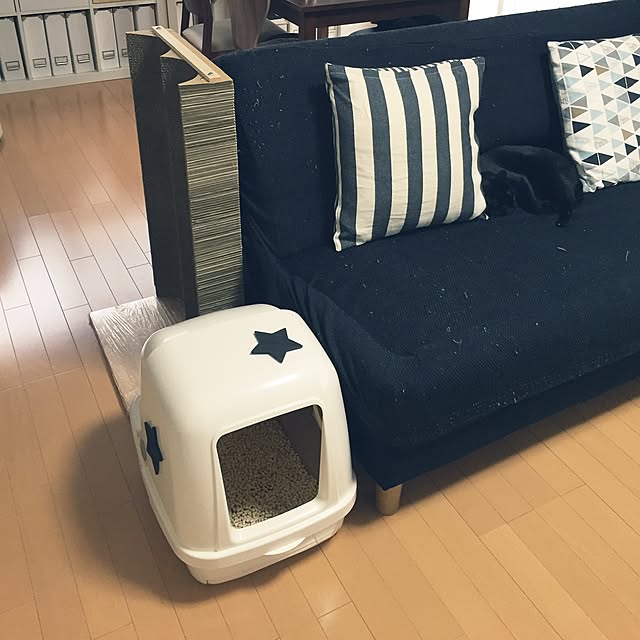 yuki0511さんの実例写真