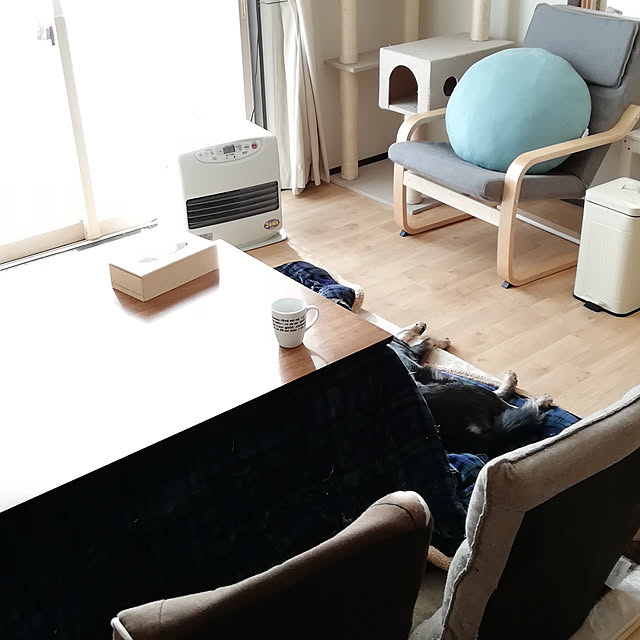 kumaさんの実例写真