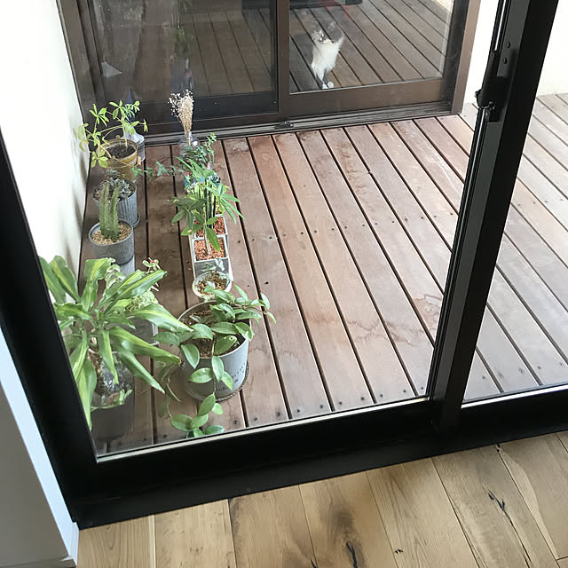 HAKUKUさんの実例写真