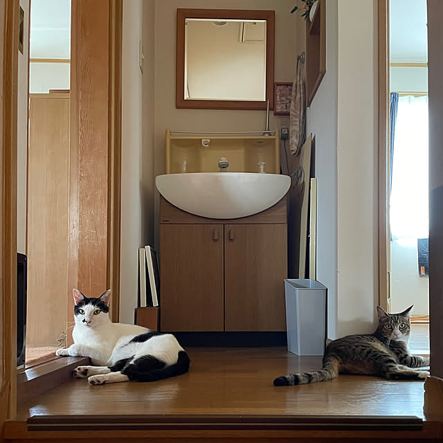 nobikoさんの部屋