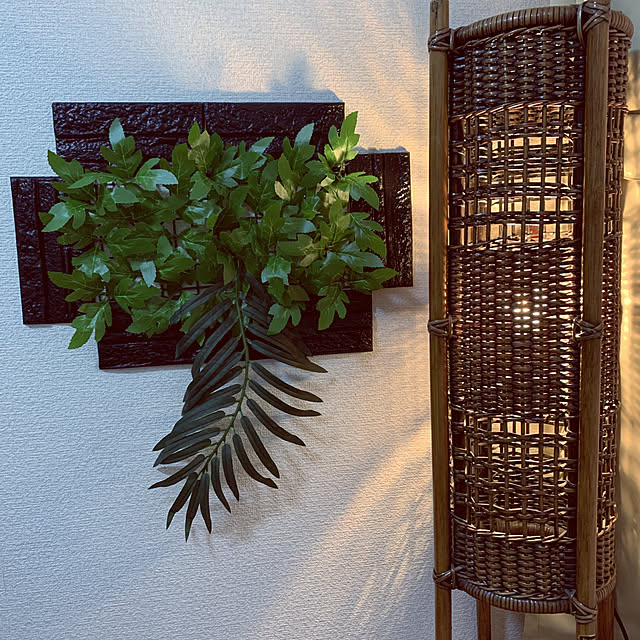 raiaさんの実例写真