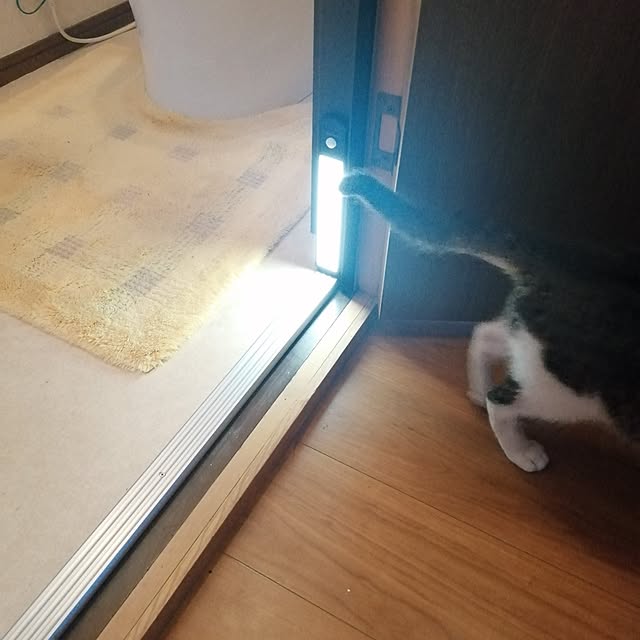 y.ebihara0811さんの実例写真