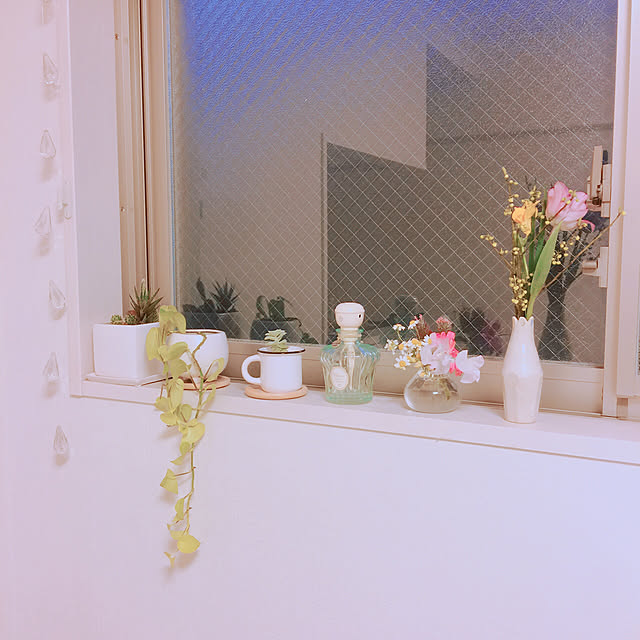 stella_mさんの実例写真