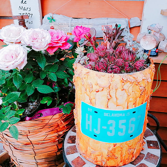 hana4504さんの実例写真