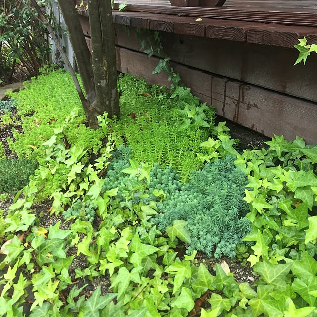 TAKAさんの実例写真