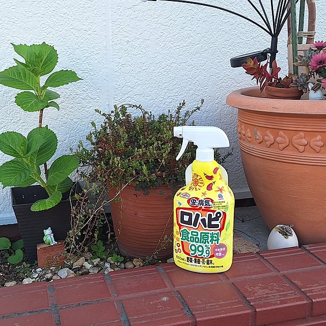 hanapanさんの部屋