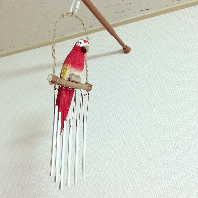 BBさんの実例写真