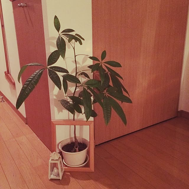 enuさんの実例写真