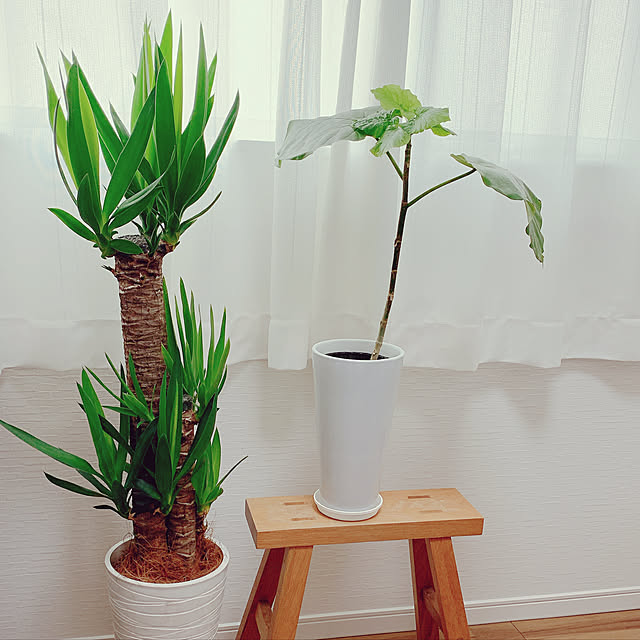 masaさんの実例写真